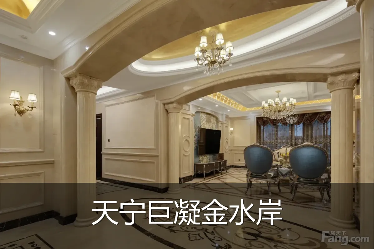 天宁巨凝金水岸