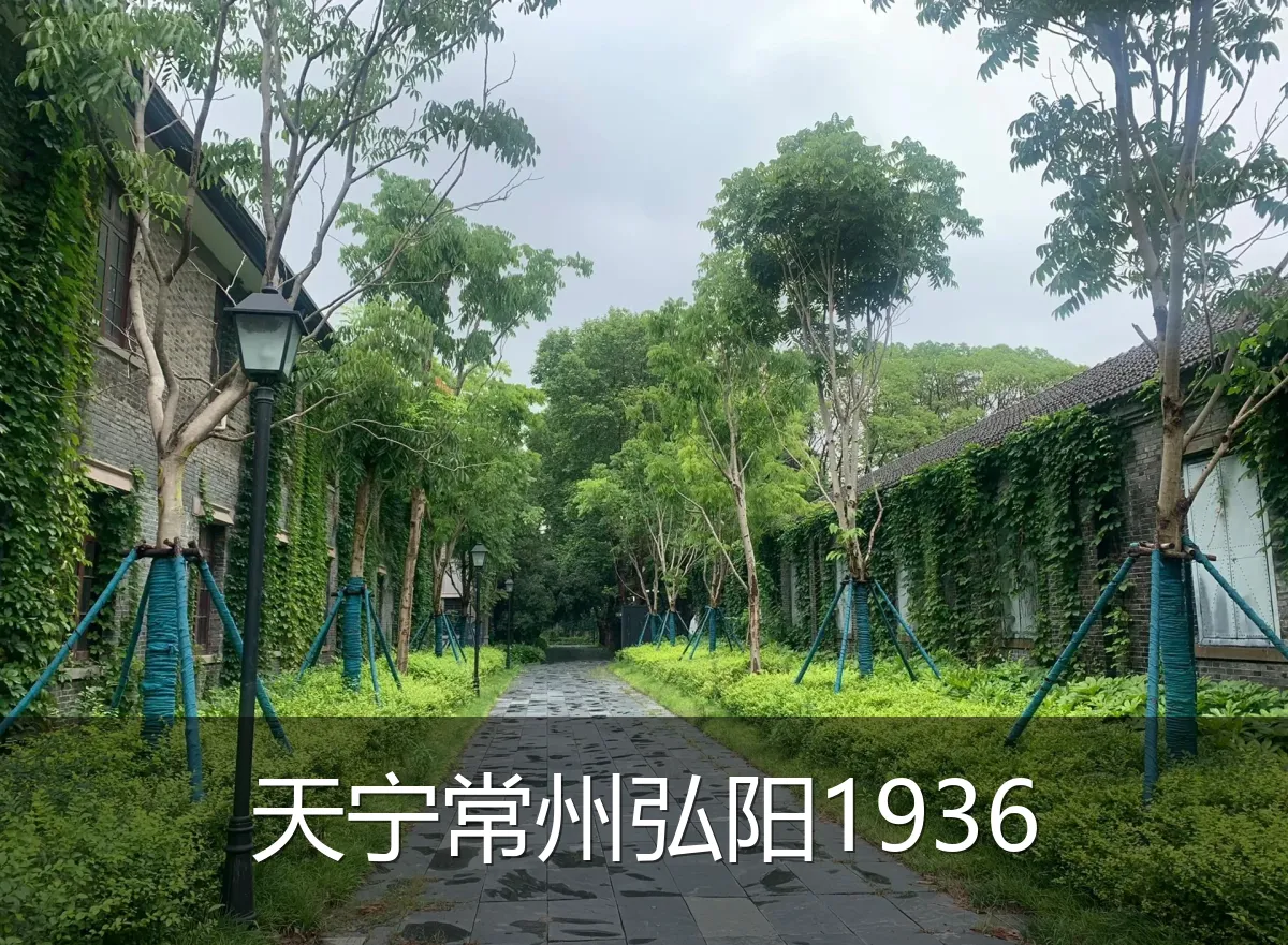 天宁常州弘阳1936