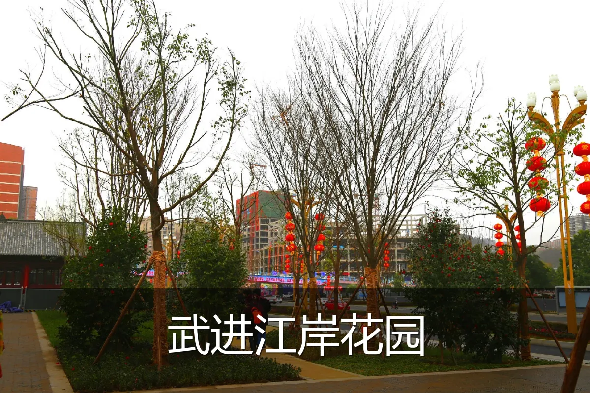 武进江岸花园