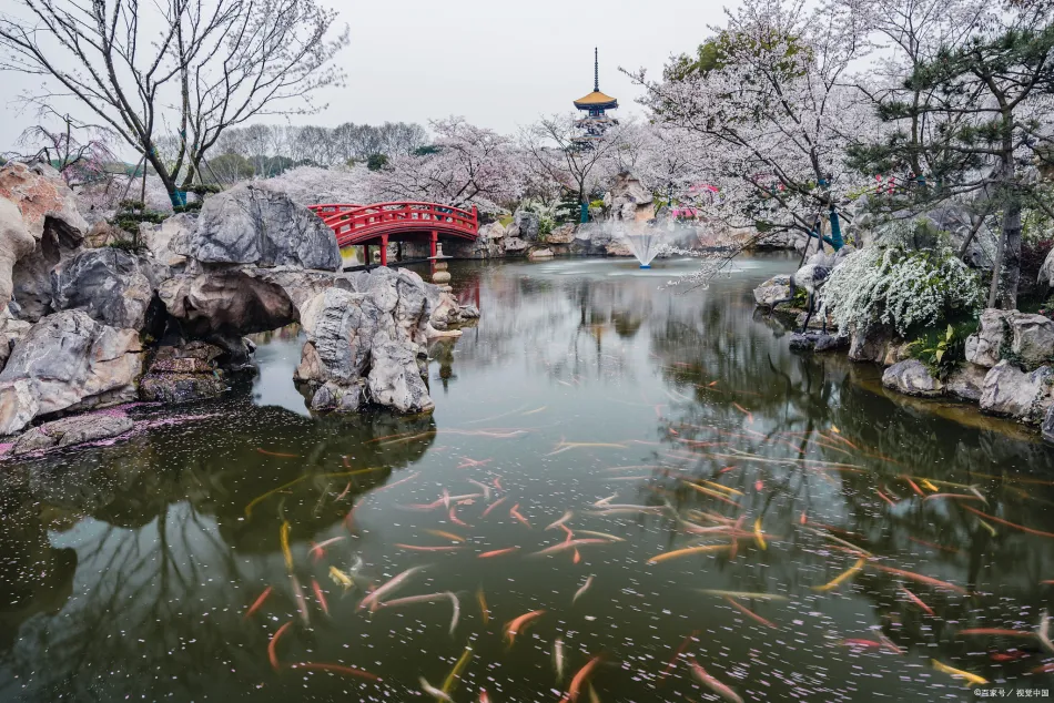 常州常州移动宽带